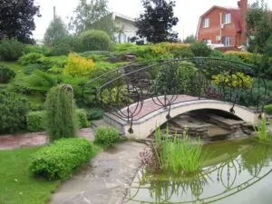 Câine gelozie, canisa de câine - labrador