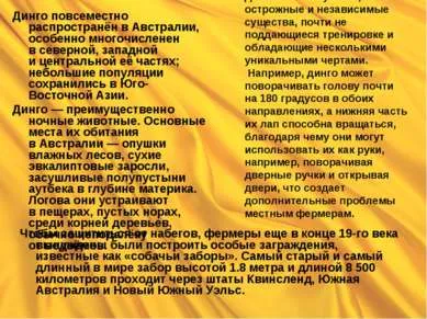 Собака дінго - презентація до уроку географії (уроку) Собака дінго - презентація до уроку географії