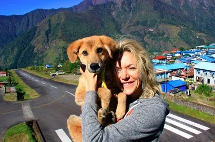 Куче-пътешественик Оскар Balabak куче