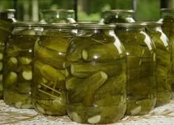 Сорти огірків для маринування (сорти огірків засолювання) Сорти огірків для маринування