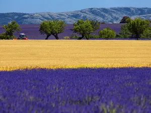 Stilul Provence în camera de zi - cele mai bune fotografii interioare