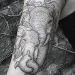 Tattoo Elephant értékek 7, 68 kép és vázlatok a legjobb