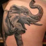 Tattoo Elephant értékek 7, 68 kép és vázlatok a legjobb