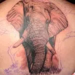 Tattoo Elephant értékek 7, 68 kép és vázlatok a legjobb