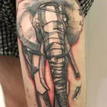 Tattoo Elephant értékek 7, 68 kép és vázlatok a legjobb