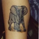 Tattoo Elephant értékek 7, 68 kép és vázlatok a legjobb