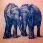 Tattoo Elephant értékek 7, 68 kép és vázlatok a legjobb