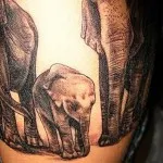 Tattoo Elephant értékek 7, 68 kép és vázlatok a legjobb