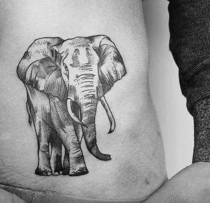 Tatuaj elefant tatuaje de valoare, 31 de fotografii, schițe