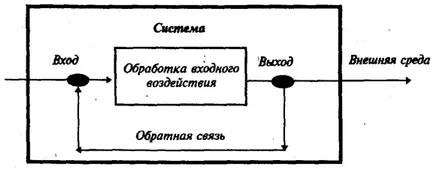 Организация Теория - абстрактен