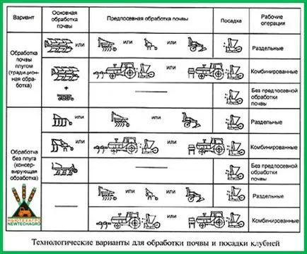 A technológiai folyamat a burgonyatermesztés - WM-Kartoffeltechnik - Burgonya - felszerelések