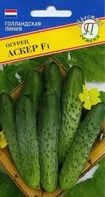 Огірки для теплиці сорти кращі, дачникам