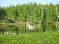 Окский заповідник 1