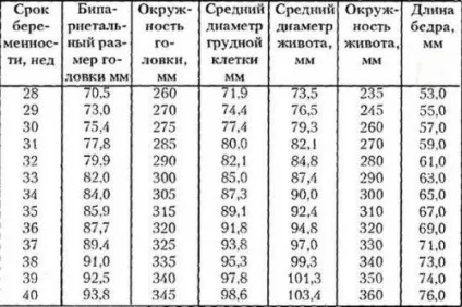 Окружність голови плода по тижнях (голови) Окружність голови плода по тижнях