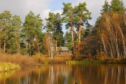 Окский біосферний заповідник, рязанська область (Окський біосферний заповідник) Окский біосферний заповідник, рязанська область