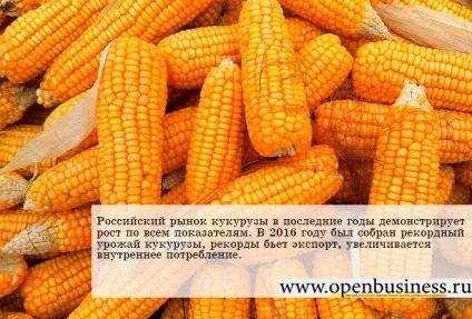 Огляд ринку зернової кукурудзи вУкаіни (огляд ринку зернової кукурудзи вУкаіни) Огляд ринку зернової кукурудзи вУкаіни