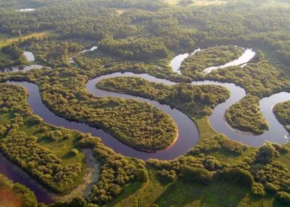 Окский заповідник в Рязанської області - опис і фото (заповідник) Окский заповідник в Рязанської області - опис і фото