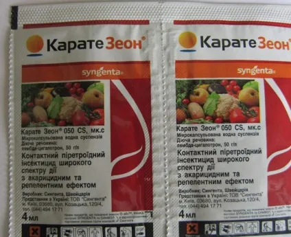 Огнівка на агрус і заходи боротьби (огневка) Огнівка на агрус і заходи боротьби
