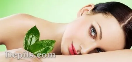 Topinambur în produse cosmetice pentru piele și păr - depils blog-