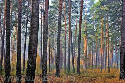 уникална природа курорт, който се намира само шест километра от подножието на връх Елбрус от височина