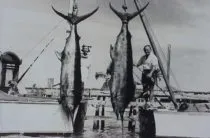 Тегло на най-големия шаран хванат на риболовни принадлежности