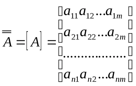 Vectori și matrici