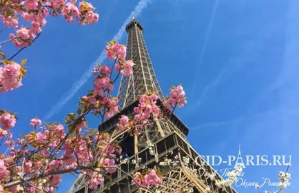 Spring paris 1