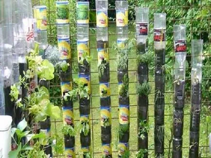 Crestele verticale pentru căpșunile din sticle de plastic, cum să facă propriile lor mâini video și fotografii