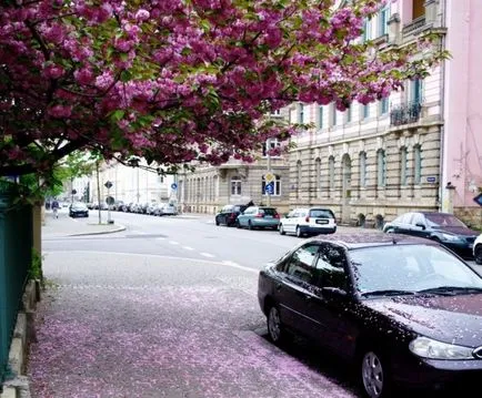 De primăvară - cel mai bun moment al anului din Paris