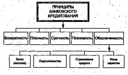 Видове потребителски кредити - характеристика и класификация