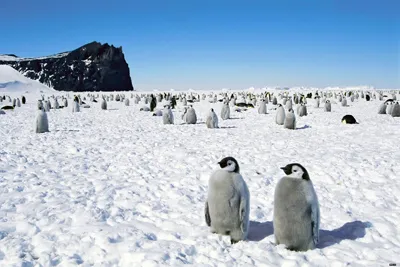 Anotimpuri, vremea si clima din Antarctica