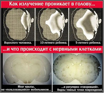 Вреден радиация от мобилен телефон