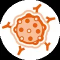 Orthomol immun як приймати ортомол імунної (orthomol) Orthomol immun як приймати ортомол імунної