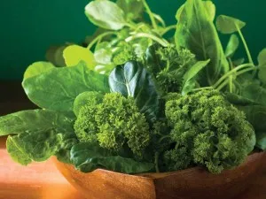 Green comentarii dieta dieta pierde in greutate, meniul pentru săptămâna