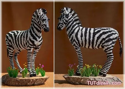 Zebra șirag de mărgele