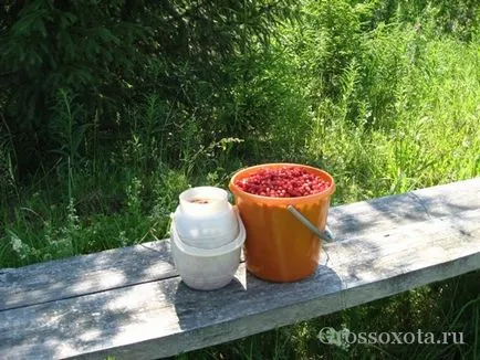 суниця лісова