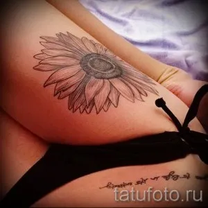 Înțeles Daisy tatuaj sens, istorie și fotografii