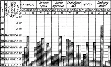 Gyomor, emésztőszervek, anatómiai és élettani jellemzői a gyermek teste