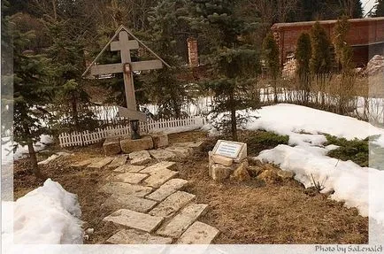 Зосімова пустель
