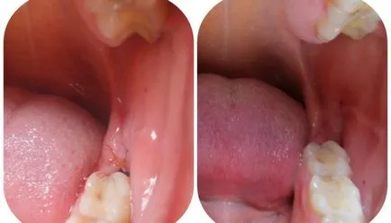 Мъдрец - снимка на практика на зъболекарите