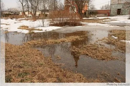 Зосімова пустель