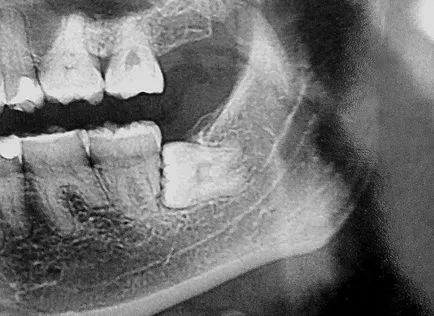 Мъдрец - снимка на практика на зъболекарите