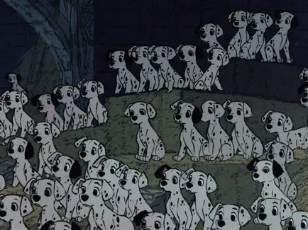 101 Dalmatieni - 10 lucruri interesante despre care nu a avut nici o idee