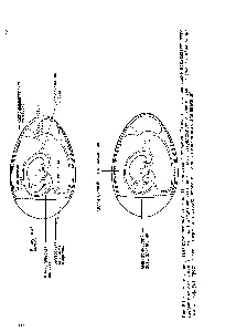 Amniotic cavitatea iii - chimist de referință 21