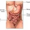 atonie intestinală - descrierea bolii intestinului hipotonie, hipotensiune, simptome și cauzele bolii