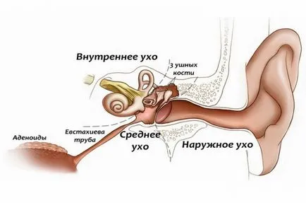 Syringmus причинява симптомите, лечение и физиотерапия потребителя