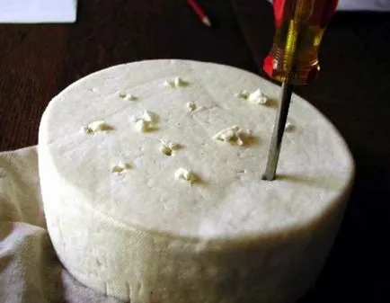 Este sigur să mănânce brânză albastră (mucegăite) și dacă aceasta se poate face la domiciliu