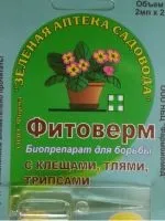 Звідки родом кактус