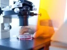 Батько новонародженої, яку роль відіграє батько новонародженої дитини (дитини) Батько новонародженої, яку роль відіграє батько новонародженої дитини