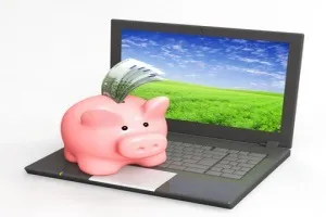 Особливості використання електронних гаманців для ооо і ип
